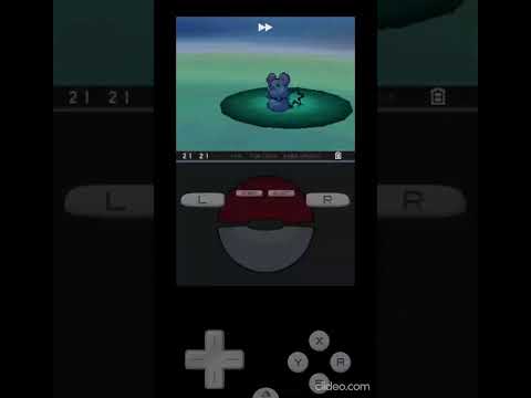 Pokémon Blanco Randomlocke - Galopin9 - 22