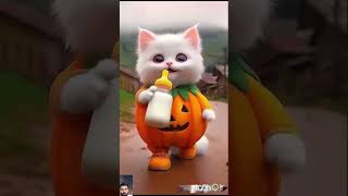Download lagu tuti tuti tam tam cute cat pumpkin dress drink 🍼 kitchen baby cat #cute #kitchen #shots mp3