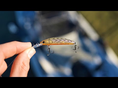 Fishing A TINY Diving Lure Around Structure - Ft New Kayak