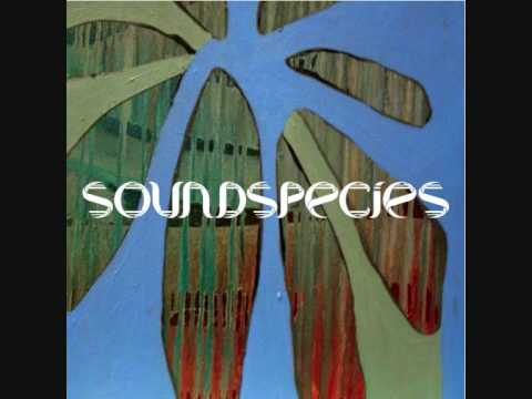 Sound Species - Relax ft. Deborah Jordan