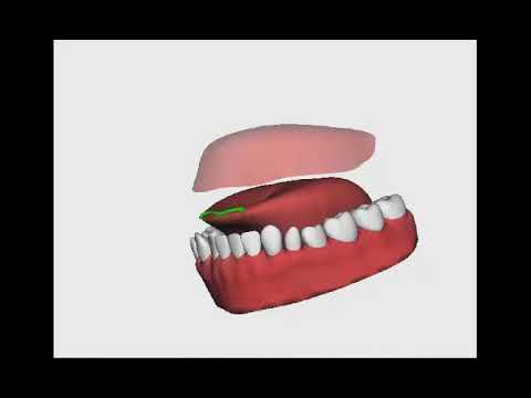 Online sufara - Izgovor harfa Zal "Motivacijom ka Džennetu"