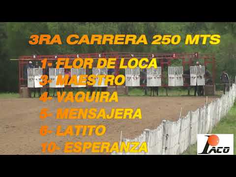 MAESTRO DON NICO BAÑADO DE SOTO 13 03 2022