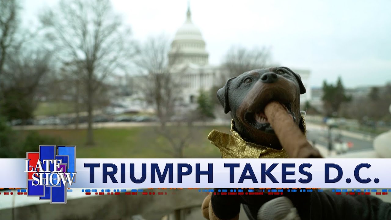 Triumph The Insult Comic Dog Goes To Washington To Cover Trump's Impeachment Trial