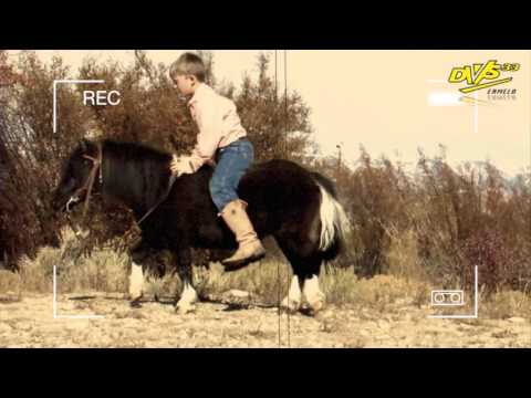 De Stille Krachten van DVS'33 Ermelo (#2)