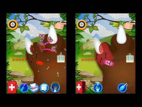 Animal Nail Doctor Video