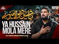Nohay 2025 Ya Hussain Mola Mere Ali Akbar Ameen Noha 2025 Muharram Nohay 2025 1447