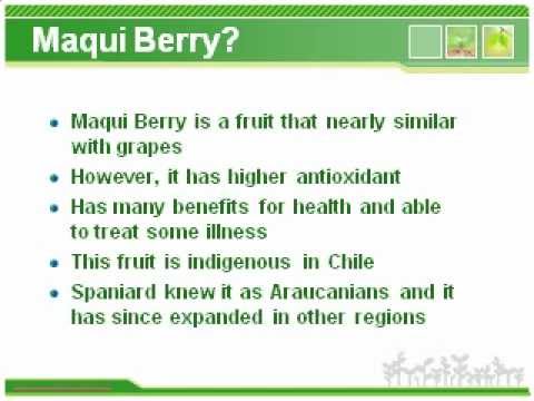 What is Maqui Berry?