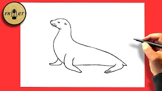 How to draw a sea lion step by step easy