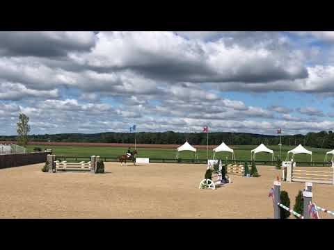 KG Scooby Doo ridden by Jordan Melfi/ Princeton Show Jumping / High Ch/Ad Classic / 7th place