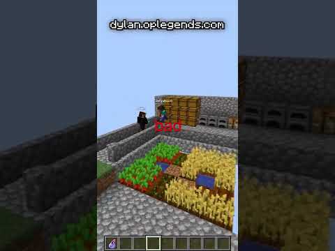 I Caught Staff ABUSING on my Skyblock Server...