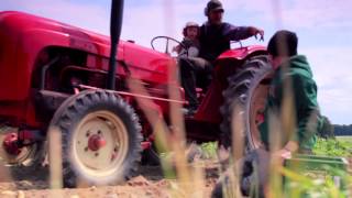 Gemeinschaftsgetragene Landwirtschaft & Handlungspädagogik