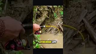 Download lagu Iseng Mancing Dikubangan Air Gak taunya #mancing #mancingikan #short mp3