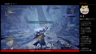 MHW:IB 珠集め、導きの地まわし。アイスボーン モンハン