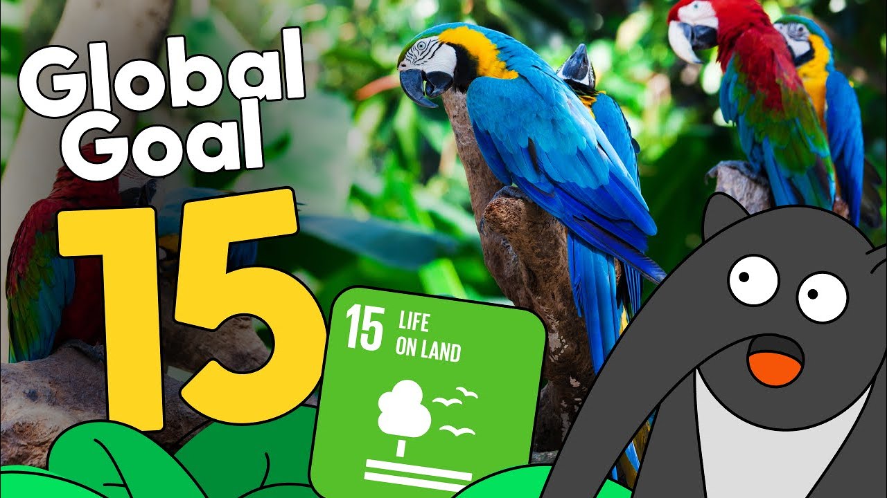 What is Global Goal 15? Life on Land!
