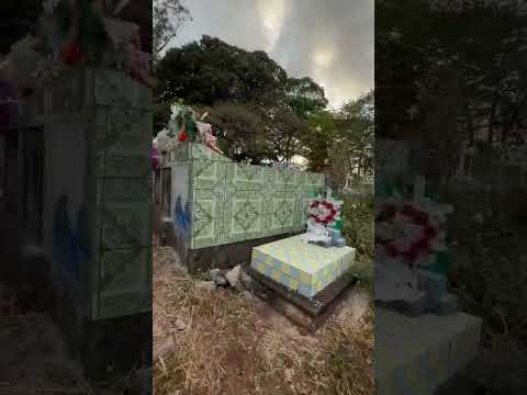 Cementerio de Samuria, jucuaran usulutan #elsalvador #comparteysiguenos