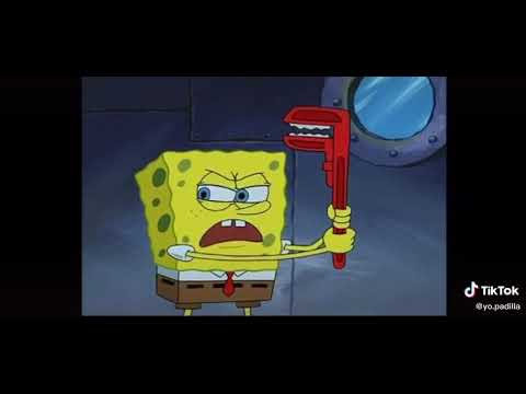 Sponge + crab goes boom