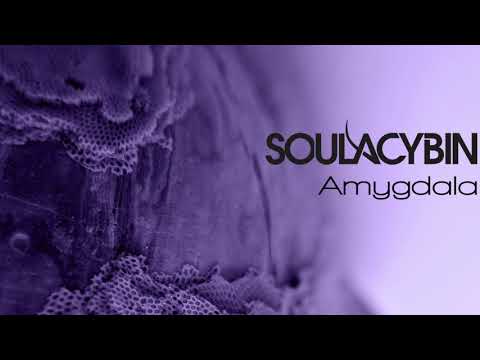 Soulacybin - Amygdala