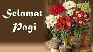 Download lagu Selamat  pagi  selamat  beraktifitas mp3