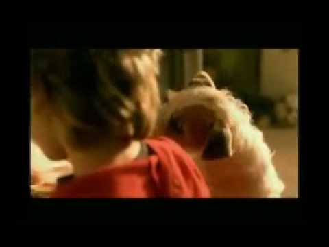 Alex Gaudino feat Crystal Waters - Destination Calabria.avi