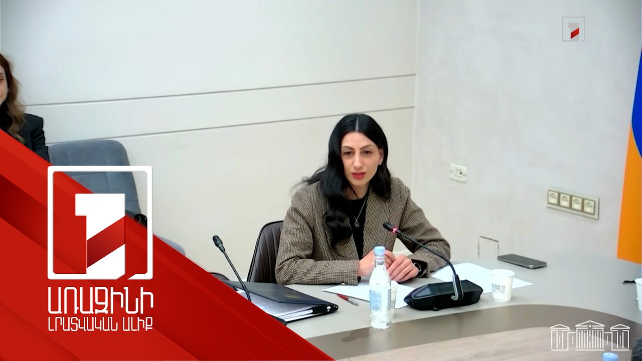 ՄԻՊ գրասենյակը 2025-ին 22,600 դիմում-բողոք է ստացել. որ կառույցներից են մարդիկ ամենաշատը դժգոհ