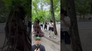 Download lagu CEWEK KAGET ADA POHON HANTU HIDUP DI HUTAN‼️😱 @A2FactsForid #remix #dubbing #trending mp3