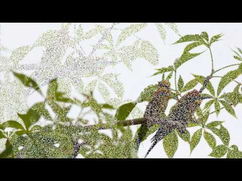 Samugannata Awasarayi - සමුගන්නට අවසරයි