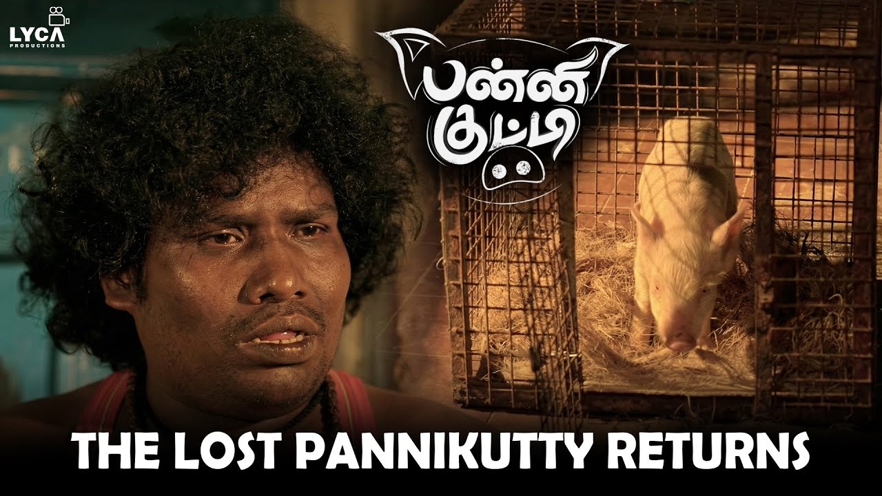 Panni Kutty Movie Scene | Thittani கிட்ட தான் பன்னிக்குட்டி இருக்கு ! | Yogi Babu 