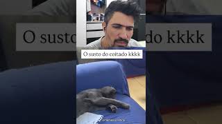 O CACHORRO NÃO ESPERAVA POR ESSE FINAL 😱 #react #humor #curiosidades