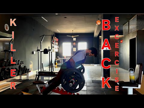 BULK DAY 11 PULL DAY