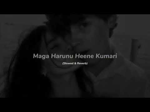 Maga Harunu Heene Kumari (Slowed & Reverb) - Janith Iddamalgoda
