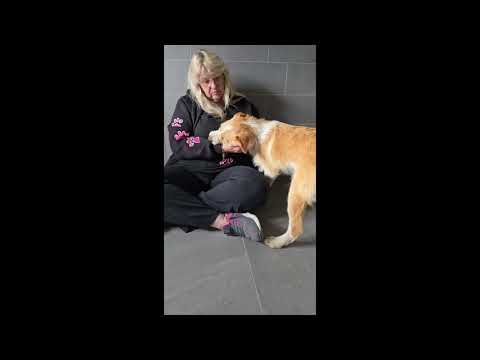 Unsere so liebe💕Nadira💕 sucht ihre Menschen💕🐾💕