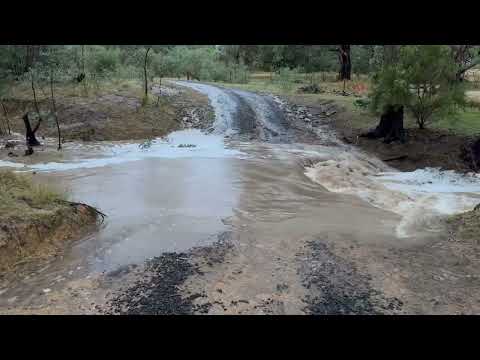 Flood 2