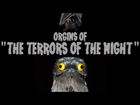 Orgins of the Terrors of the Night