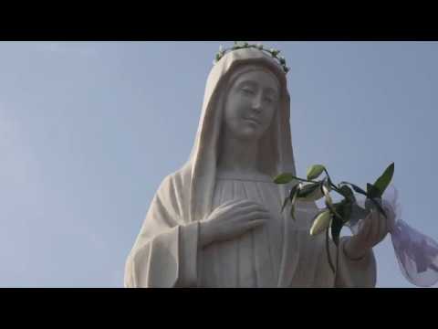 AJIM - Niepokalana Matka Miłosierdzia - Deus Caritas Est