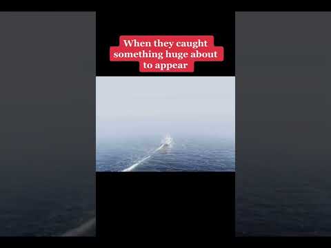 Proof Kraken Actually Exist😳