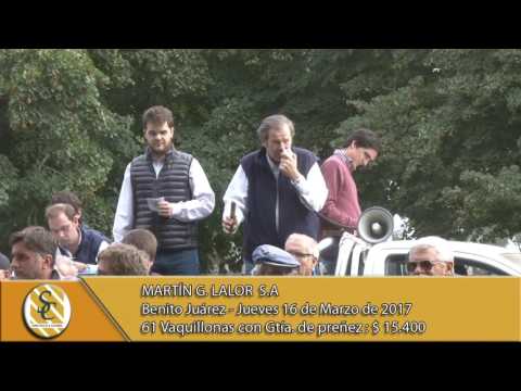 Venta de Vientres - Martín G. Lalor S.A - B. Juárez
