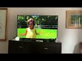 Sesame Street Honeybee Hullaballoo