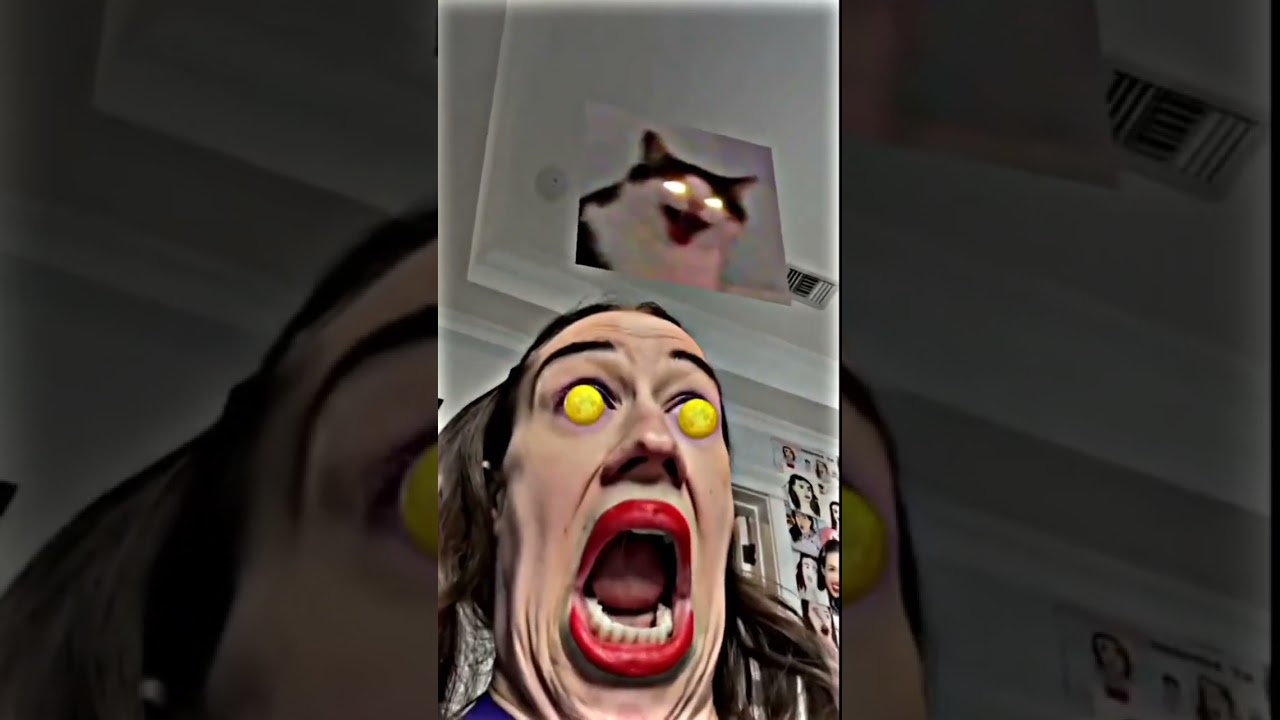 Cat meme face 🤓 #shorts