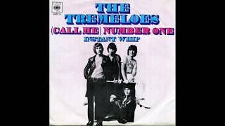 The Tremeloes - (Call Me) Number One - 1969