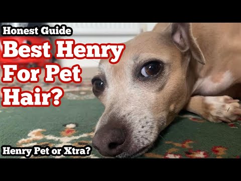Whats the Best HENRY HOOVER for PET HAIR?!