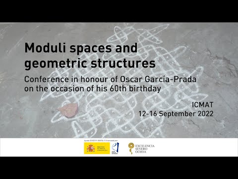 "Geometry and Topology of Wild Character Varieties", Tony Pantev