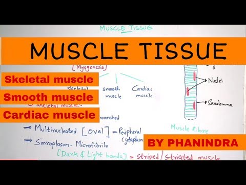 Inter 2nd year SYNAPTIC TRANSMISSION ZOOLOGY