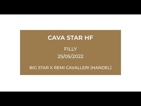 Cava Star HF