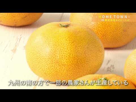 2024年11月5日(火)放送 #6 株式会社ネイバーフッド