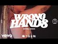 Emotional Oranges - Wrong Hands [Lyric Video]