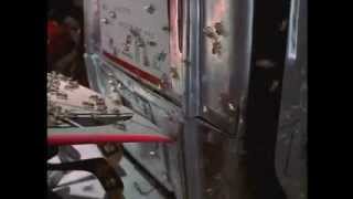 Abejas Asesinas (Killer Buzz) (Flying Virus) (Jeff Hare, EEUU, Brasil, 2001) - Trailer