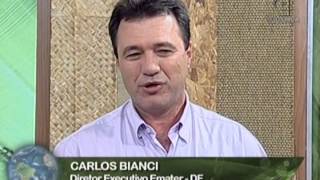 Miniatura do vídeo
