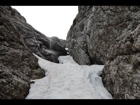 Albișoara Răsucită pe zăpadă (21 apr. 2025)