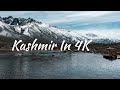 Kashmir In 4K Kashmir Walking Tour Travel Documentary On Kashmir Kashmir Cinematic Video