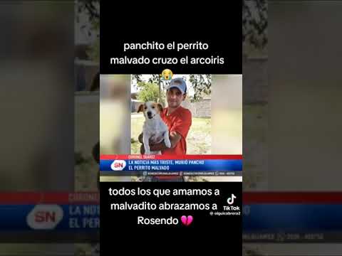 Se nos fue Malvado. Un gran abrazo y mucha fuerza a Rosendo @Rosendomorante777